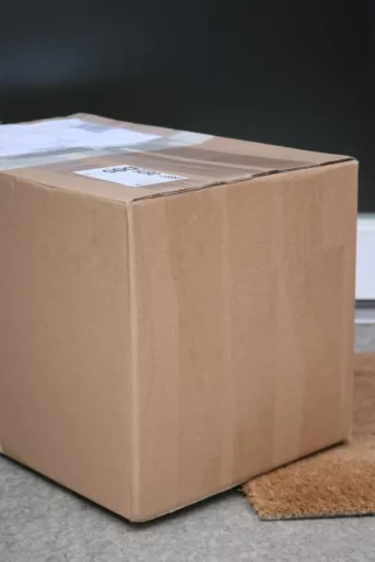 Eben angekommen Das Staudenpaket ist eben angekommen