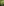 Hakonechloa macra Aureola 2 jpg