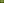 Hakonechloa macra Aureola jpg