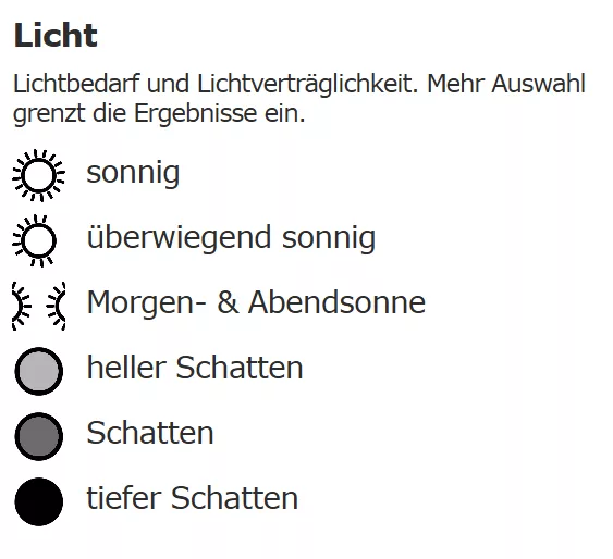 licht filter licht filter